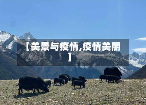 【美景与疫情,疫情美丽】-第1张图片