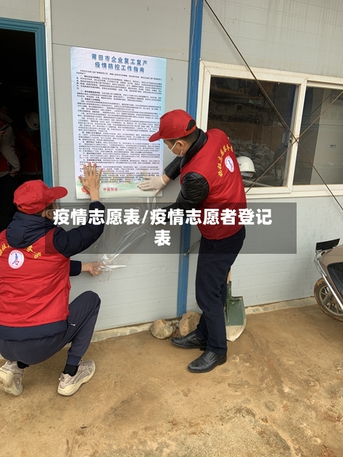 疫情志愿表/疫情志愿者登记表-第1张图片