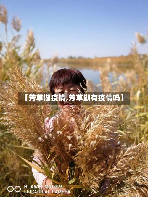 【芳草湖疫情,芳草湖有疫情吗】-第2张图片