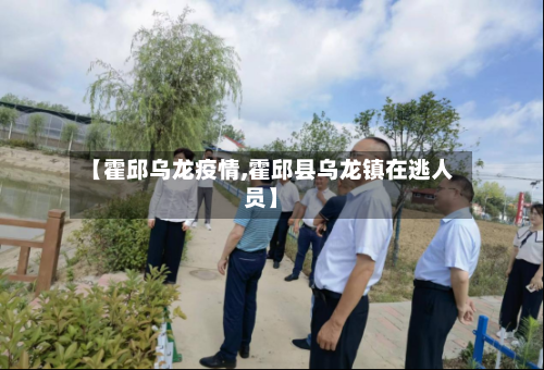 【霍邱乌龙疫情,霍邱县乌龙镇在逃人员】-第3张图片