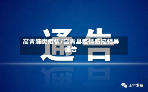 高青肺炎疫情/高青县疫情防控领导通告-第2张图片