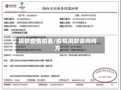 捐款疫情初衷/疫情捐款去向何方-第2张图片