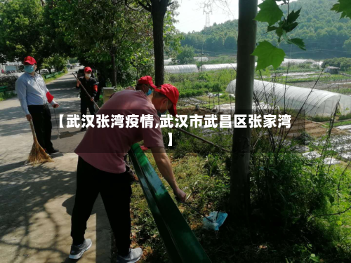 【武汉张湾疫情,武汉市武昌区张家湾】-第2张图片