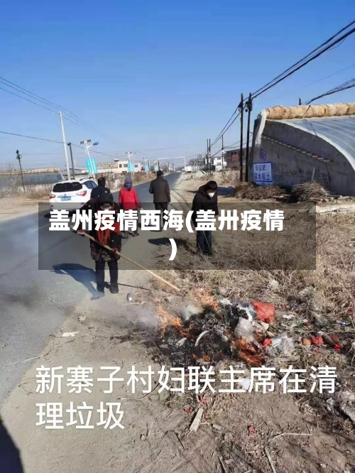 盖州疫情西海(盖卅疫情)-第1张图片