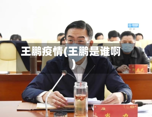 王鹏疫情(王鹏是谁啊)-第1张图片