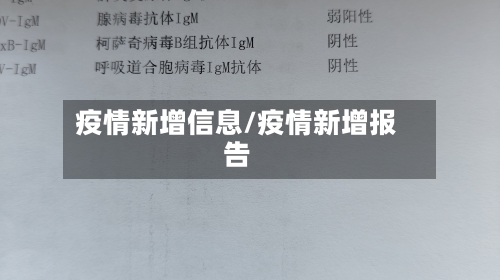 疫情新增信息/疫情新增报告-第2张图片