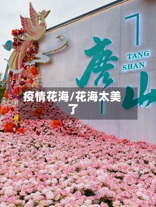 疫情花海/花海太美了-第2张图片