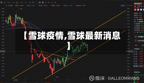 【雪球疫情,雪球最新消息】-第2张图片