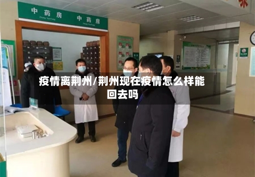 疫情离荆州/荆州现在疫情怎么样能回去吗-第2张图片