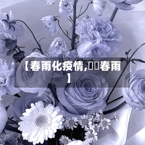 【春雨化疫情,봄비春雨】-第1张图片