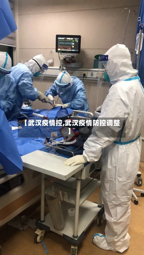 【武汉疫情控,武汉疫情防控调整】-第2张图片
