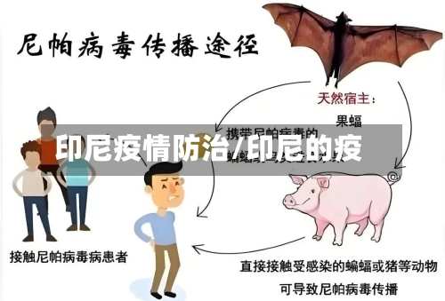 印尼疫情防治/印尼的疫-第2张图片