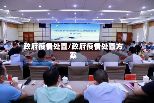 政府疫情处置/政府疫情处置方案-第1张图片