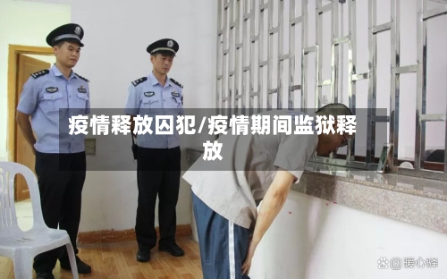 疫情释放囚犯/疫情期间监狱释放-第3张图片