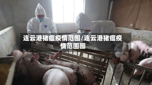 连云港猪瘟疫情范围/连云港猪瘟疫情范围图-第2张图片
