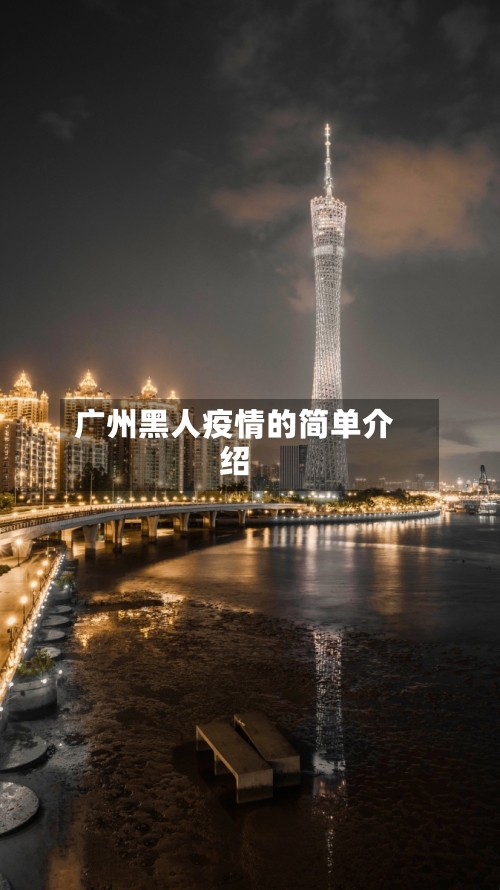 广州黑人疫情的简单介绍-第3张图片