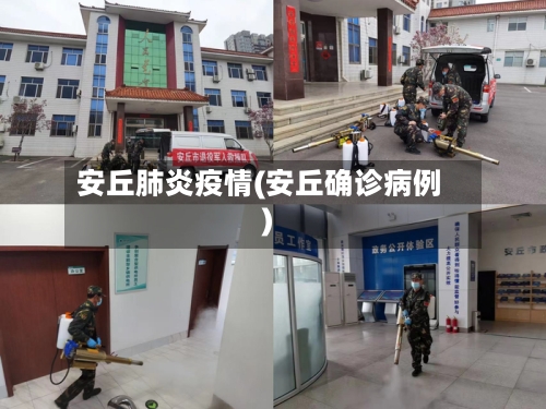 安丘肺炎疫情(安丘确诊病例)-第2张图片