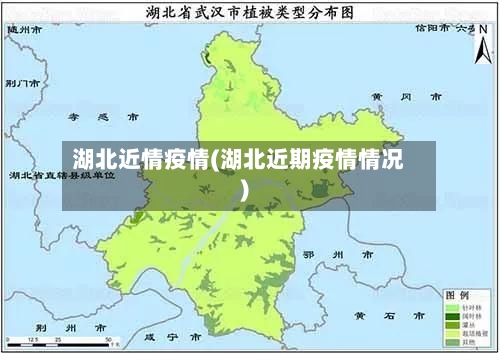 湖北近情疫情(湖北近期疫情情况)-第1张图片