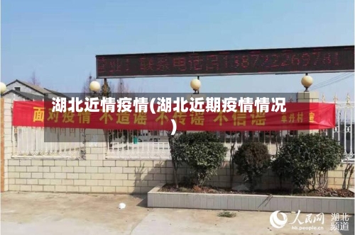 湖北近情疫情(湖北近期疫情情况)-第3张图片