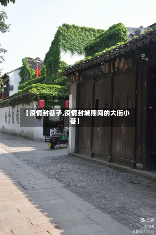 【疫情封巷子,疫情封城期间的大街小巷】-第1张图片