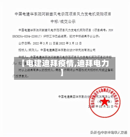 【电建迪拜疫情,迪拜电力】-第2张图片