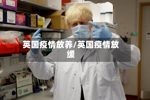英国疫情放养/英国疫情放缓-第2张图片