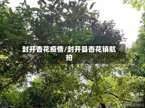 封开杏花疫情/封开县杏花镇航拍-第1张图片