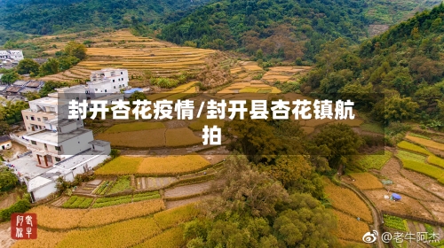 封开杏花疫情/封开县杏花镇航拍-第3张图片