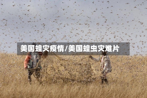 美国蝗灾疫情/美国蝗虫灾难片-第2张图片