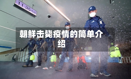朝鲜击毙疫情的简单介绍-第3张图片