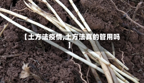 【土方法疫情,土方法真的管用吗】-第3张图片