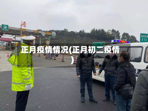 正月疫情情况(正月初二疫情)-第2张图片