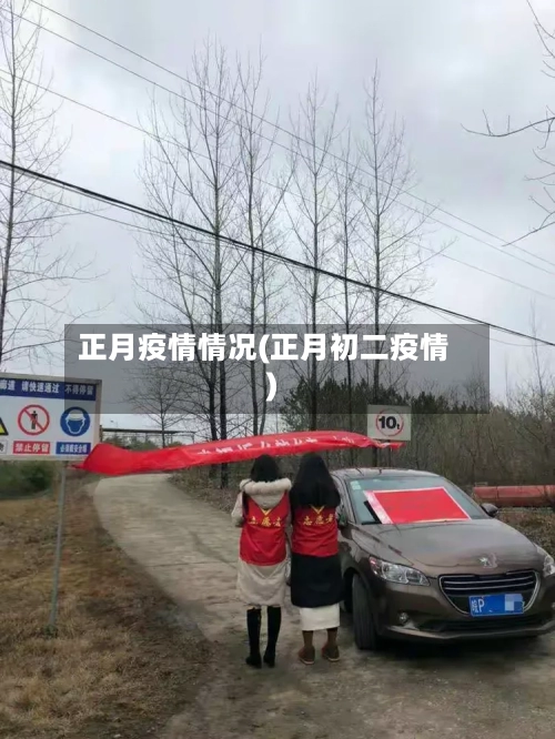 正月疫情情况(正月初二疫情)-第1张图片
