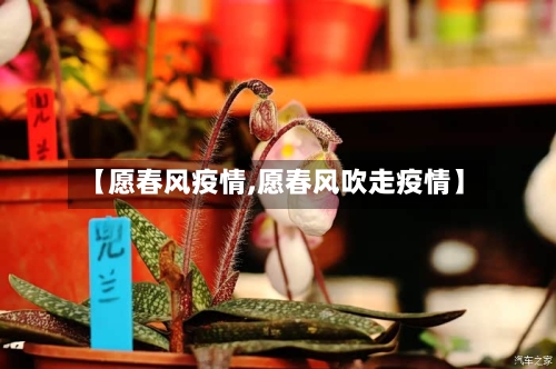 【愿春风疫情,愿春风吹走疫情】-第1张图片