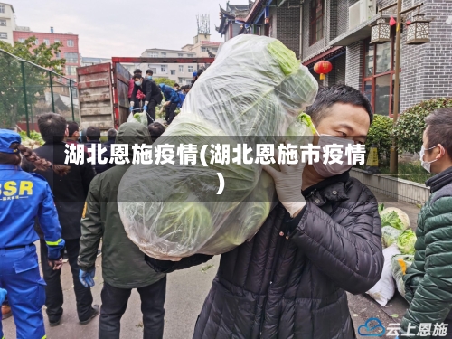 湖北恩施疫情(湖北恩施市疫情)-第2张图片