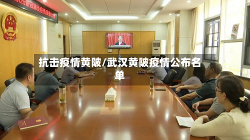 抗击疫情黄陂/武汉黄陂疫情公布名单-第1张图片