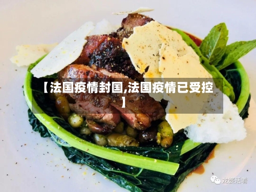 【法国疫情封国,法国疫情已受控】-第1张图片
