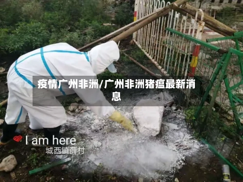 疫情广州非洲/广州非洲猪瘟最新消息-第2张图片