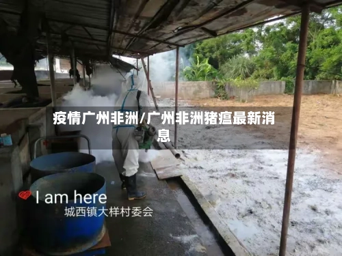 疫情广州非洲/广州非洲猪瘟最新消息-第1张图片