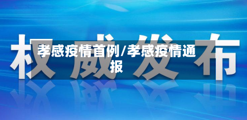 孝感疫情首例/孝感疫情通报-第2张图片