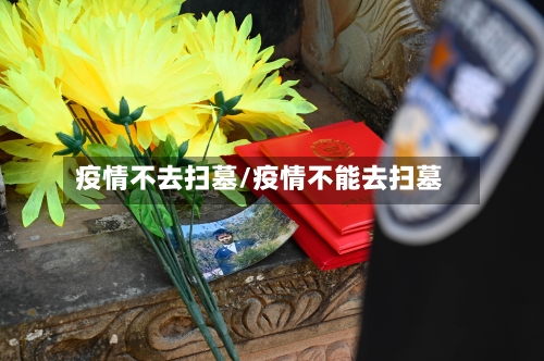 疫情不去扫墓/疫情不能去扫墓-第2张图片