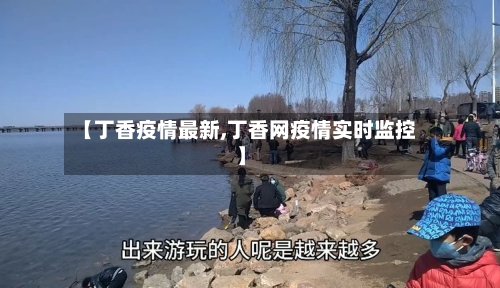 【丁香疫情最新,丁香网疫情实时监控】-第2张图片