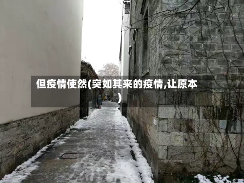 但疫情使然(突如其来的疫情,让原本)-第2张图片