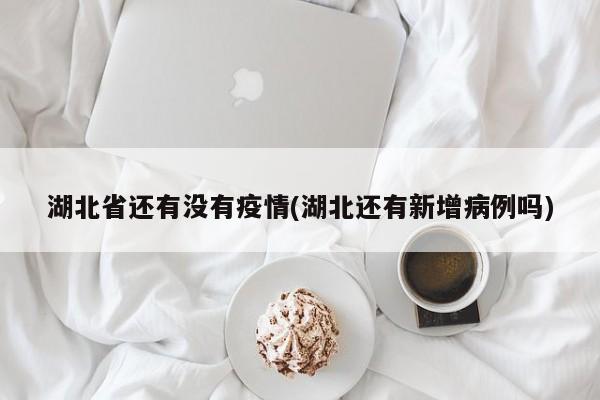 湖北省还有没有疫情(湖北还有新增病例吗)
