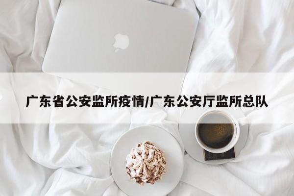 广东省公安监所疫情/广东公安厅监所总队