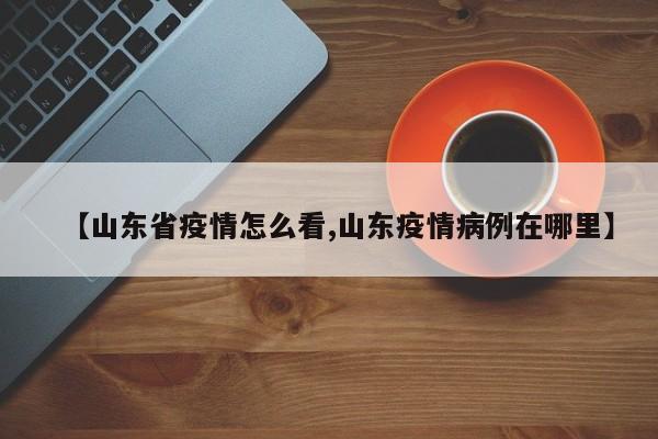 【山东省疫情怎么看,山东疫情病例在哪里】