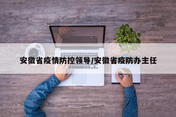 安徽省疫情防控领导/安徽省疫防办主任