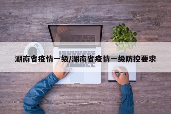 湖南省疫情一级/湖南省疫情一级防控要求