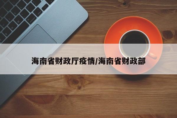 海南省财政厅疫情/海南省财政部