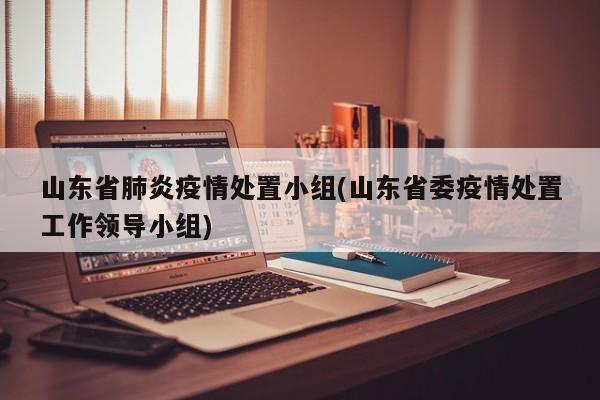 山东省肺炎疫情处置小组(山东省委疫情处置工作领导小组)